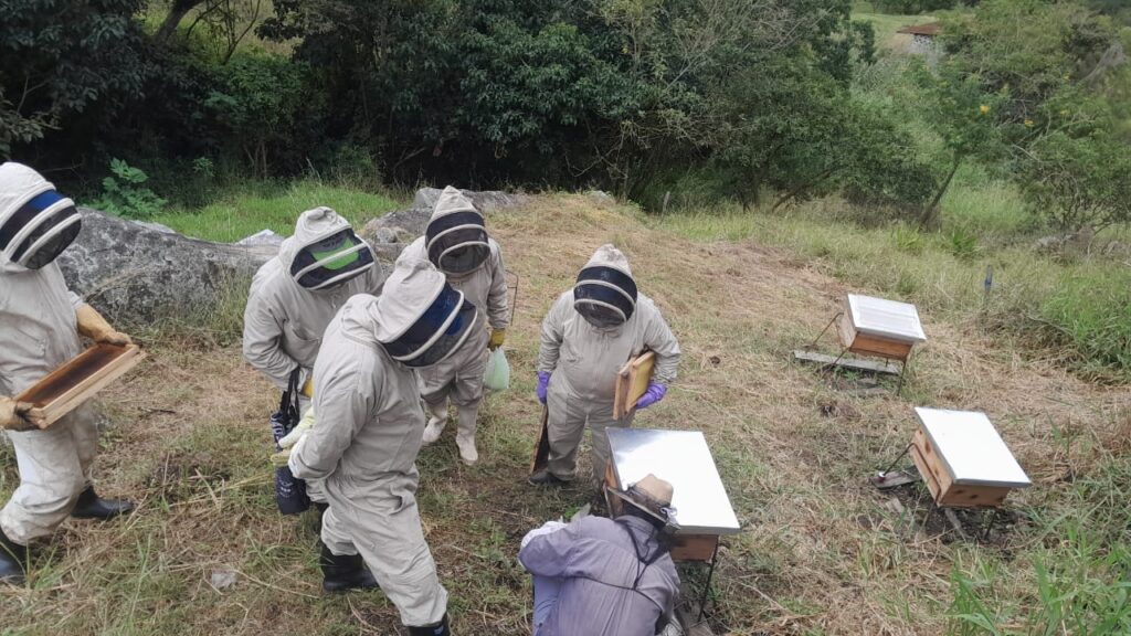 Apicultura en Bogota Colombia
